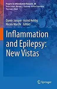 Inflammation and Epilepsy: New Vistas