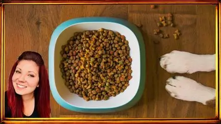 Improve Your Dog's Food: Analyze Dog Food Kibble Nutrition