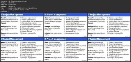 It Project Management: Delivering Successful It Projects