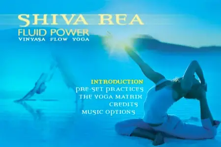 Fluid Power Vinyasa Flow Yoga
