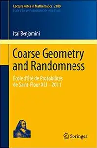 Coarse Geometry and Randomness (Repost)