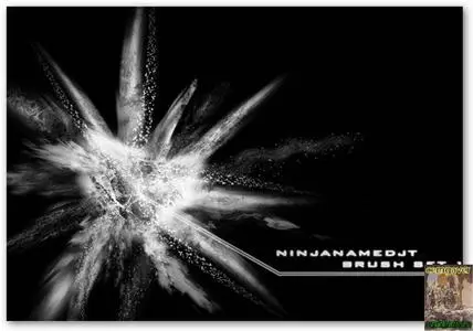 Ninja Namedjt Brushes