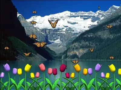  Butterfly Garden Screensaver