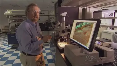 PBS - NOVA scienceNOW: Can I Eat That? (2012)