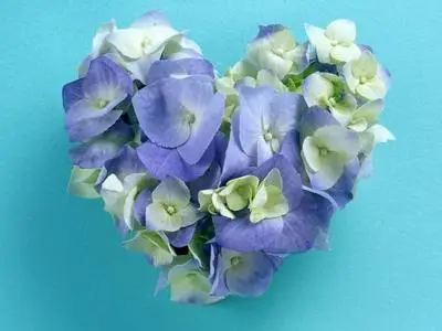 Valentine's Day Love