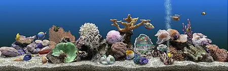 Marine Aquarium 3.1