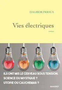 Dalibor Frioux, "Vies électriques"