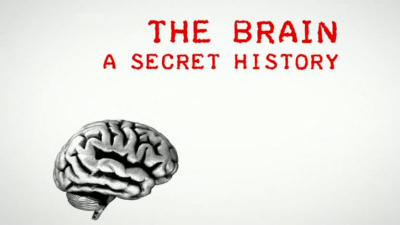 The Brain: A Secret History (2011) (Repost)