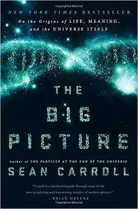 The Big Picture: On the Origins of Life, Meaning, and the Universe Itself