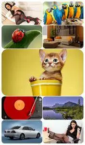 Beautiful Mixed Wallpapers Pack 604