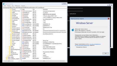 Windows Server version 1809 build 17763.557