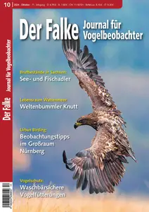 Der Falke Journal für Vogelbeobachter - Oktober 2024