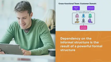 Organizing Software Teams for Success