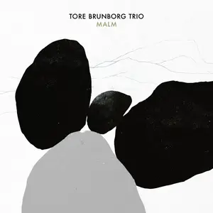 Tore Brunborg Trio - Malm (2026) [Official Digital Download 24/96]
