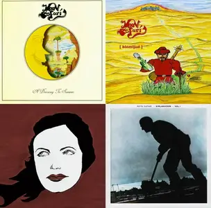 Moon Safari - 4 Studio Albums (2005-2013)