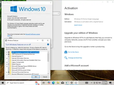 Windows 10 22H2 build 19045.6093 (x64)  AIO 16in1 Preactivated July 2025