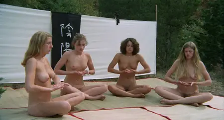 The Vixens of Kung Fu / A Tale of Yin Yang (1975)