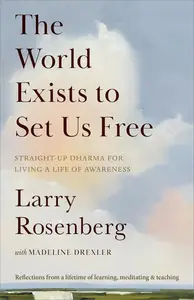 The World Exists to Set Us Free: Straight-Up Dharma for Living a Life of Awareness