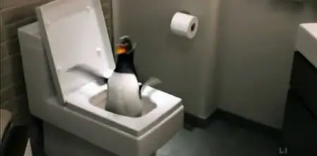 Mr. Popper's Penguins / M. Popper et ses pingouins (2011)