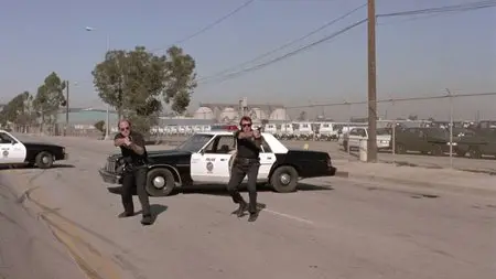 The Perfect Weapon (1991)