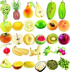 Fruit Series in CorelDRAW