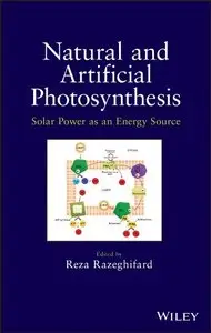 Natural and Artificial Photosynthesis: Solar Power as an Energy Source