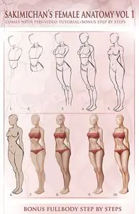 Female Anatomy Vol 1 by sakimichan