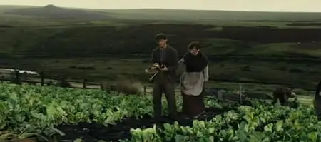 War Horse (2011)