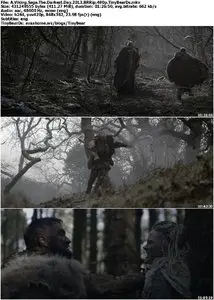 A Viking Saga: The Darkest Day (2013)