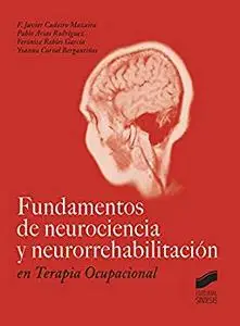 Fundamentos de neurociencia y neurorrehabilitación en terapia ocupacional