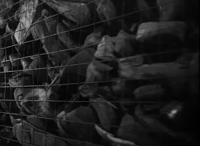 Der gewoehnliche Faschismus (1965)