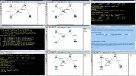 Cisco 300-101 - ROUTE Exam Training Video