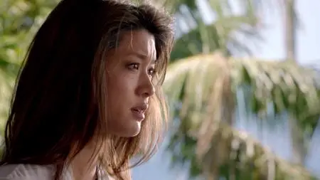 Hawaii Five-0 S03E23