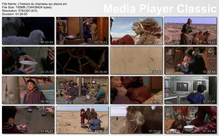 L'histoire du chameau qui pleure (2004)