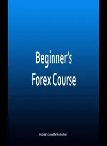 Forex Beginner’s Course