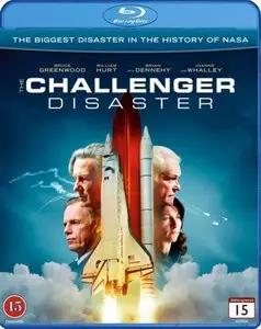 The Challenger Disaster (2013)