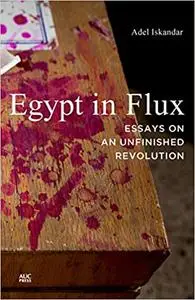 Egypt in Flux: Essays on an Unfinished Revolution