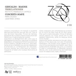 Concerto Soave - Gesualdo & Maione: Tribulationem (2013)