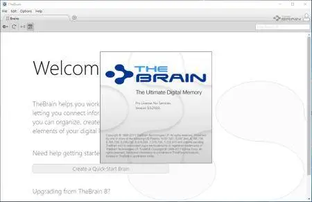 TheBrain 9.0.250.0