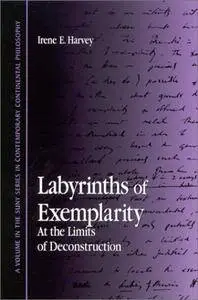 Labyrinths of Exemplarity: At the Limits of Deconstruction (SUNY Series in Contemporary Continental Philosophy)
