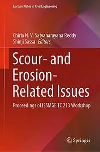 Scour- and Erosion-Related Issues