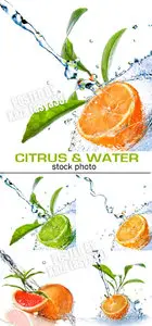 Citrus water
