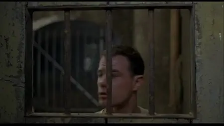 Midnight Express (1978) [30th Anniversary Edition]