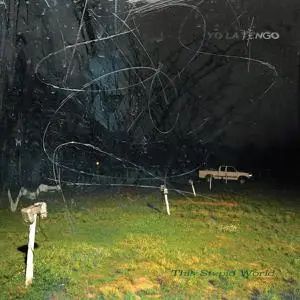 Yo La Tengo - This Stupid World (2023) [Official Digital Download]