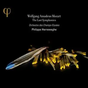 Philippe Herreweghe, Orchestre des Champs-Élysées - Wolfgang Amadeus Mozart: The Last Symphonies (2013)