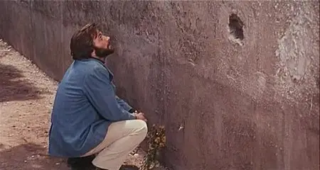 A Quiet Place in the Country / Un tranquillo posto di campagna (1968)