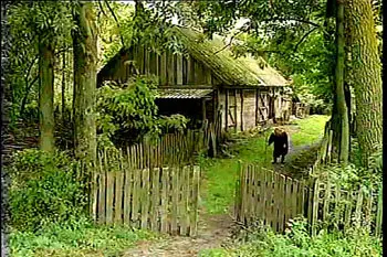 The Path/Стэжка/Тропинка