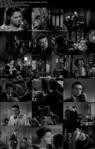 Career (1959)