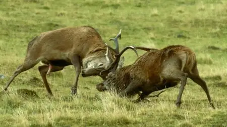 BBC - Hebrides: Islands on the Edge (2013)