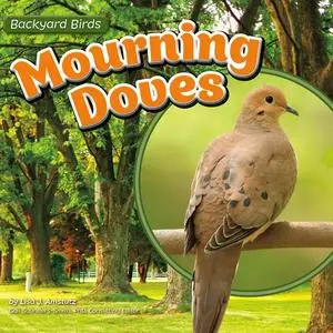 «Mourning Doves» by Lisa Amstutz